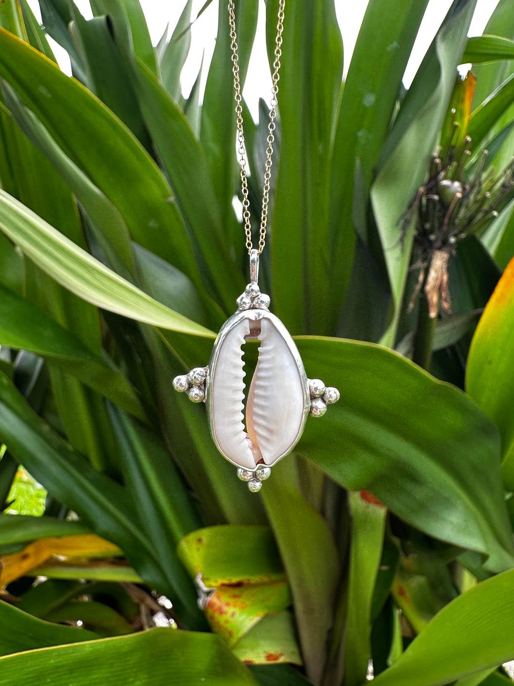 Compass Cowrie Charm